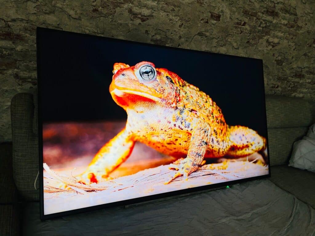 Toshiba 4K-Ultra-HD-Smart-TV 55UV2363DA Test